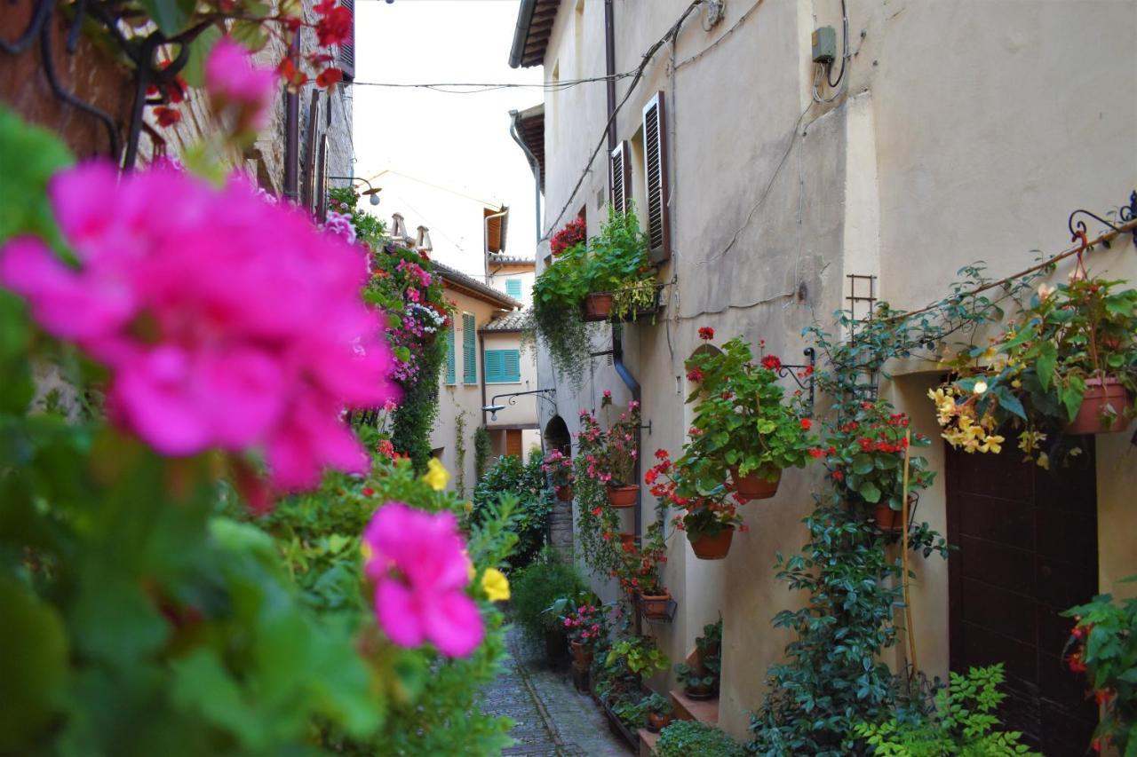 Borgo San Sisto Apartment Spello Exterior foto